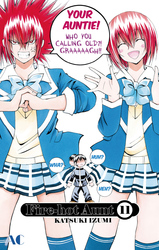 Cover of Fire-Hot Aunt Volume 11