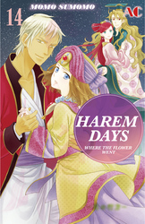 Cover of HAREM DAYS THE SEVEN-STARRED COUNTRY Volume 14