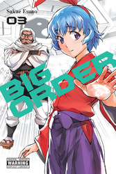 Cover of Big Order, Vol. 3