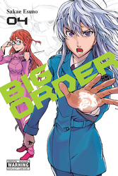 Cover of Big Order, Vol. 4