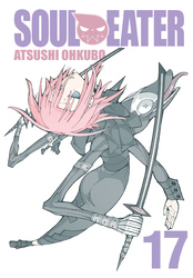 Cover of Soul Eater, Vol. 17
