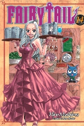 Cover of Fairy Tail Volume 14