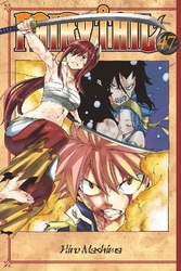 Cover of Fairy Tail Volume 47