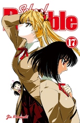 Cover of School Rumble Volume 17