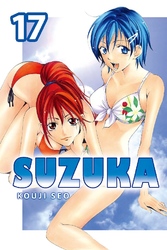 Cover of Suzuka Volume 17