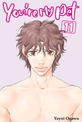 Cover of You're My Pet Volume 11