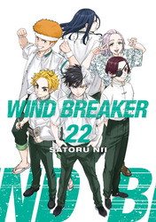 Cover of WIND BREAKER Volume 22