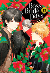 Cover of Boss Bride Days Volume 13