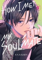 Cover of How I Met My Soulmate