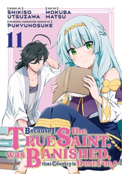 Cover of Because I, the True Saint, was Banished, that Country is Done For!