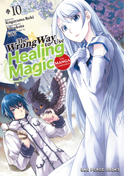 Cover of The Wrong Way to Use Healing Magic
