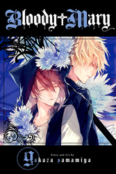 Cover of Bloody Mary, Vol. 9