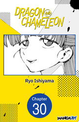 Cover of Dragon and Chameleon #030
