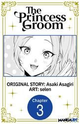 Cover of The Princess Groom #003