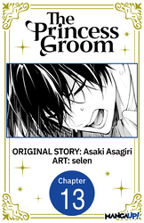 Cover of The Princess Groom CHAPTER SERIALS