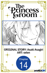 Cover of The Princess Groom CHAPTER SERIALS